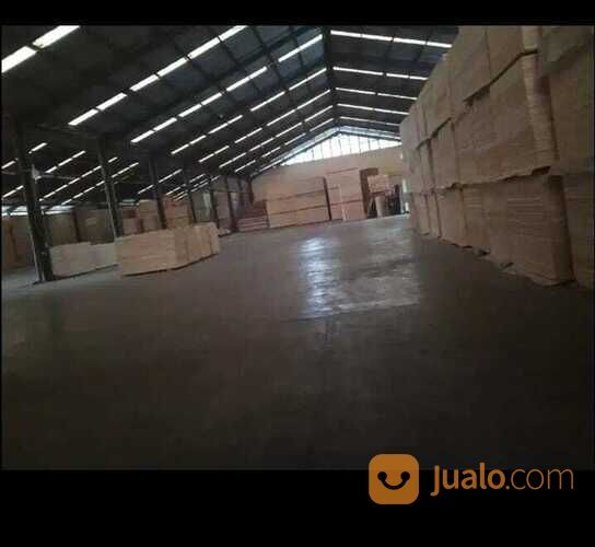 pabrik kayu lapis lokasi tengaran semarang Luas Tanah: 5Ha