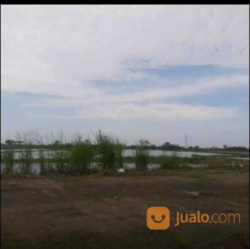 Lahan zona Industri di Demak Luas tanah 10 ha