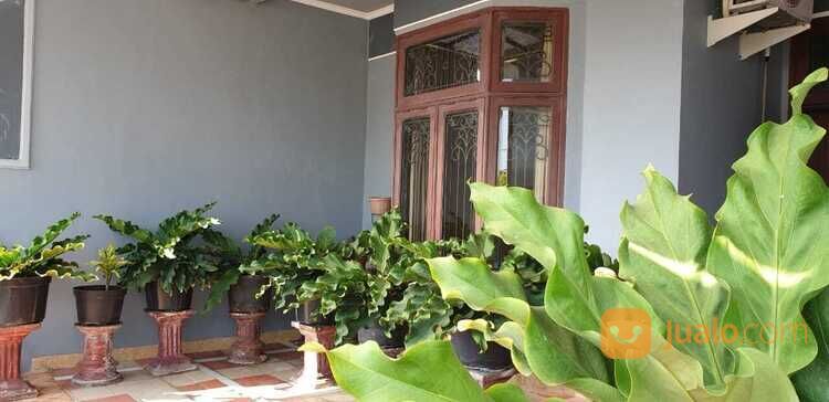 GRESIK Kota Baru Jalan Raya Utama Perumahan Ramai