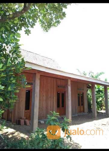 Rumah Limasan Jati Tua Perhutani