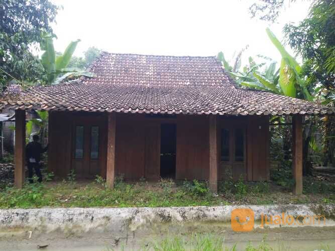 Rumah Limasan Jati Tua Perhutani