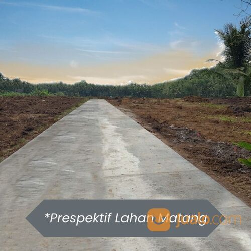 Tanah di Tulungagung 6 menit ke Pasar Bungur, Tulungagung