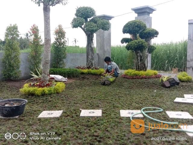Jasa Taman Jogja - Tukang Taman Jogja - Tukang Kolam Koi