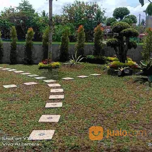 Jasa Taman Jogja - Tukang Taman Jogja - Tukang Kolam Koi