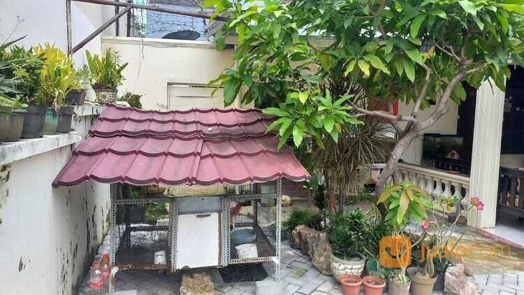 Rumah dan Ruang Usaha, Belakang Java Mall Semarang, Mangku Jalan