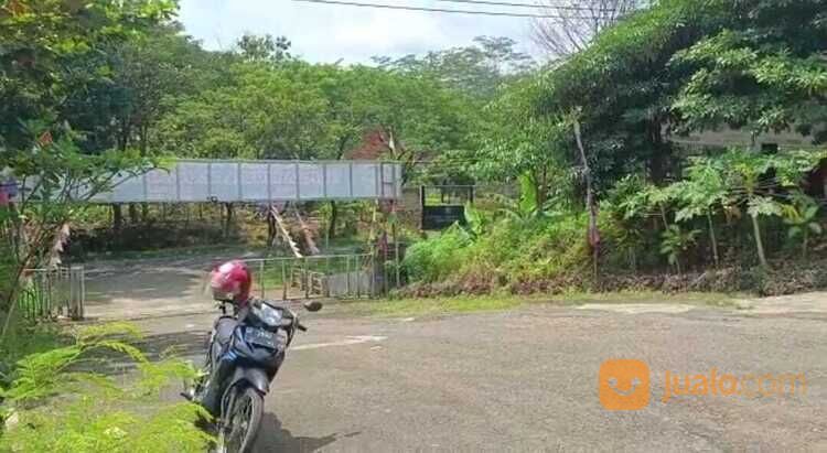 Pinggir Jalan Raya Sadeng kec Gunungpati Semarang Bursa Mobil Bekas