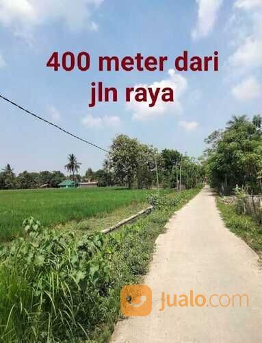 Tanah Pebayuran Bekasi ada Bangunan Peternakan Ayam Petelur Masih Aktif, Sudah Banyak Pelanggan