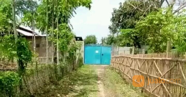 Tanah Pebayuran Bekasi ada Bangunan Peternakan Ayam Petelur Masih Aktif, Sudah Banyak Pelanggan