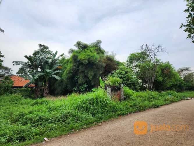 Tanah di Jalan Ciangsana Gunung Putri Bogor 12 Menit Kota Wisata Cibubur