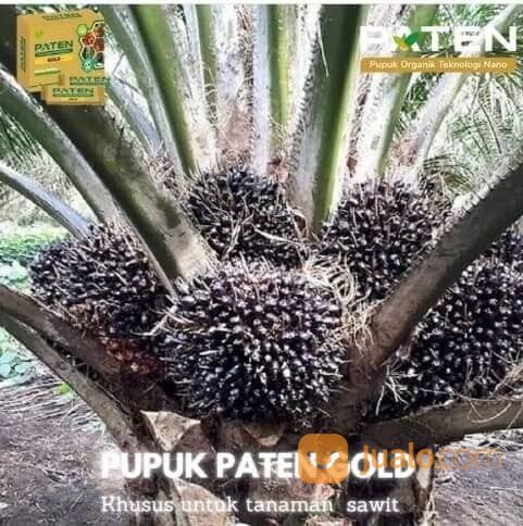 PUPUK PATEN TEKNOLOGI NANO TANAMAN LEBIH BANYAK BUAHNYA