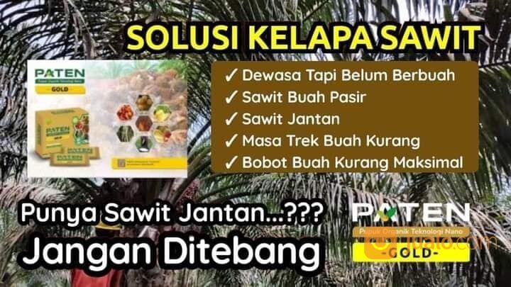 PUPUK PATEN TEKNOLOGI NANO TANAMAN LEBIH BANYAK BUAHNYA