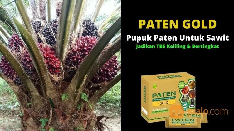 PUPUK PATEN TEKNOLOGI NANO TANAMAN LEBIH BANYAK BUAHNYA