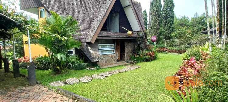 Villa estetik di Klub bunga Resort Batu