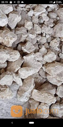 Kapur Aktif / Kapur Tohor / kapur sirih / CaO900/kg
