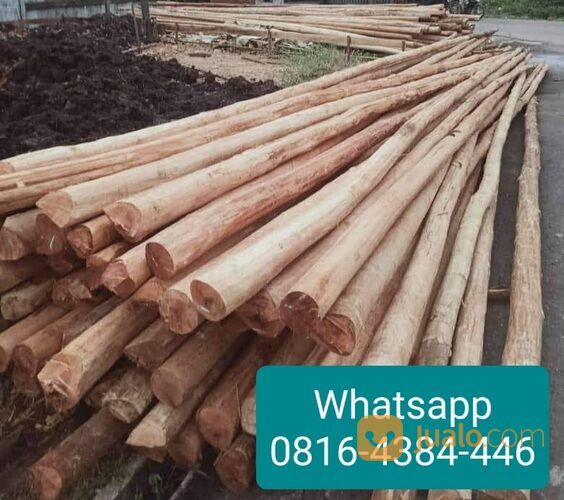 HARGA KAYU CERUCUK PONTIANAK WA 08164384446