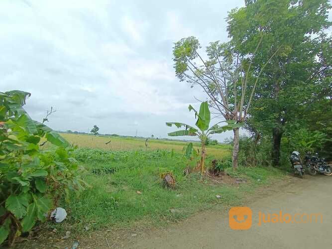 Tanah Bumirejo Pekalongan, Terima SHM, Harga 97 Jt-an