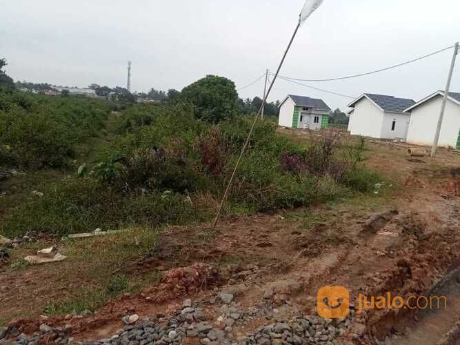 Talang Kermat, Talang Kelapa , Banyu Asin