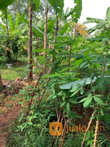 Tanah Grogol Depok Murah SHM 600 Meter JL.Pramuka Raya