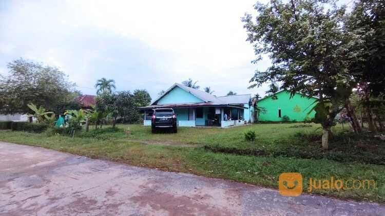 Kavling Talang Betutu Ukuran 10x32