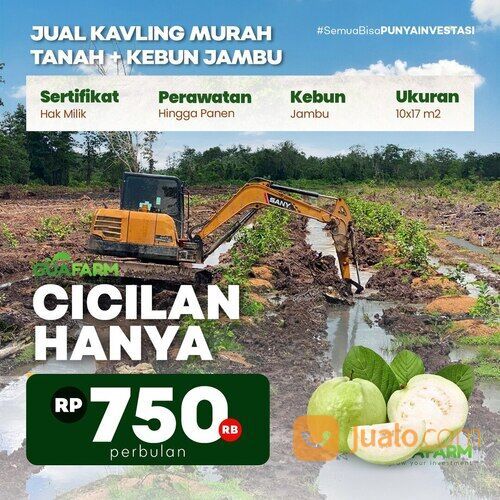 TANAH KAVLING PRODUKTIF (KAVLING KEBUN BUAH)
