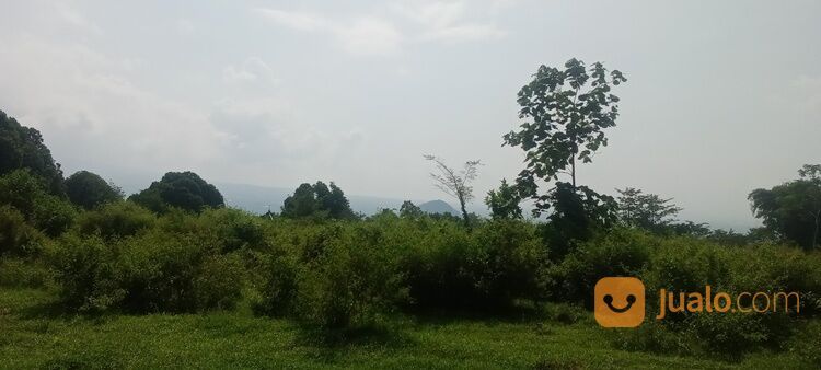 Tanah dekat wisata bns.rs baptis batu(Madewo apples)