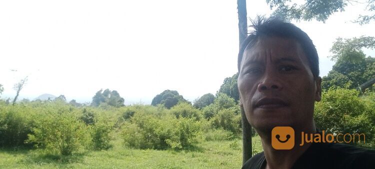 Tanah dekat wisata bns.rs baptis batu(Madewo apples)