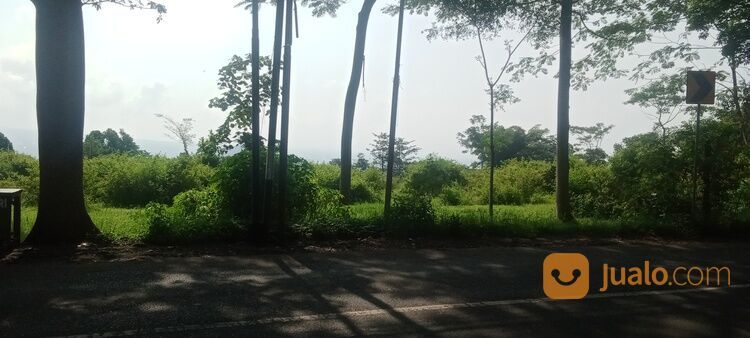 Tanah dekat wisata bns.rs baptis batu(Madewo apples)