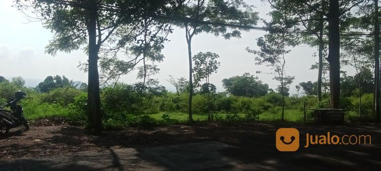 Tanah dekat wisata bns.rs baptis batu(Madewo apples)