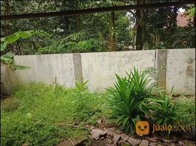 Over 40Juta Rumah di PESONA BUNGA TULIP, Tajurhalang Bogor