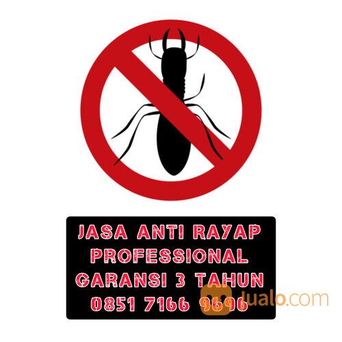 Suntik rayap Purwokerto