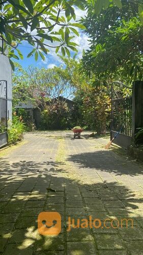 jasa potong rumput bersihkan lahan