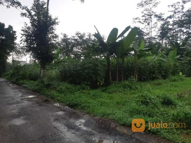 Tanah Murah Siap Bangun Area Tanjung Kulon Kajen Pekalongan