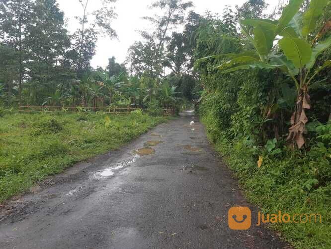 Tanah Murah Siap Bangun Area Tanjung Kulon Kajen Pekalongan