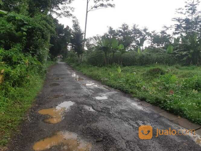 Tanah Murah Siap Bangun Area Tanjung Kulon Kajen Pekalongan