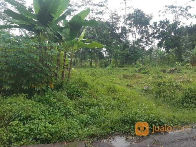 Tanah Murah Siap Bangun Area Tanjung Kulon Kajen Pekalongan