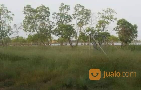 Tanah 3.420 hektar Karawang