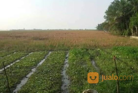 Tanah 3.420 hektar Karawang