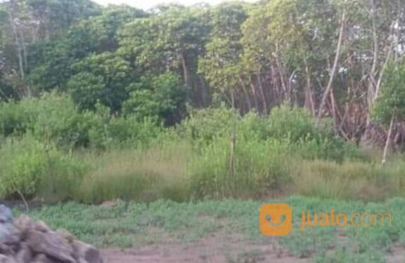 Tanah 3.420 hektar Karawang