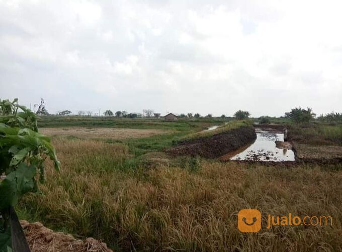 Tanah Industri 10 Hektar Bekasi