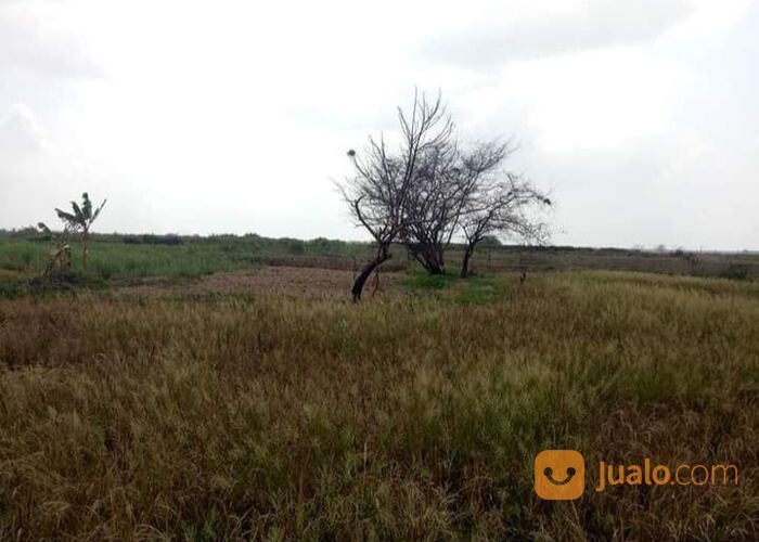 Tanah Industri 10 Hektar Bekasi