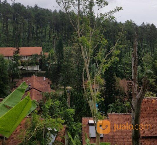 Hotel dan Cottages Permata Biru area Trawas dekat Cimory (code : YLN)
