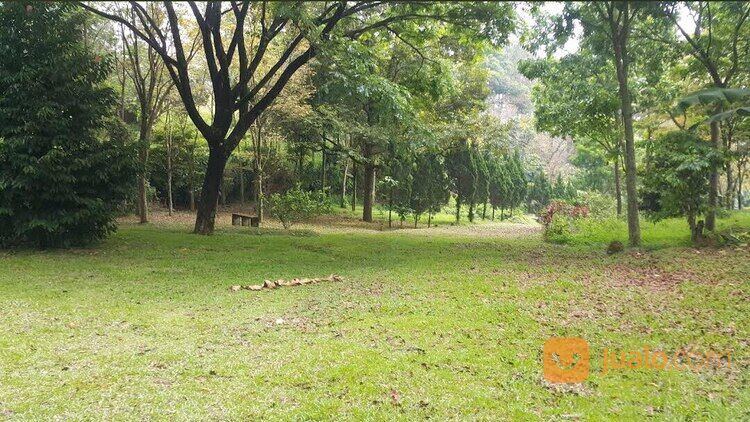 Hotel dan Cottages Permata Biru area Trawas dekat Cimory (code : YLN)