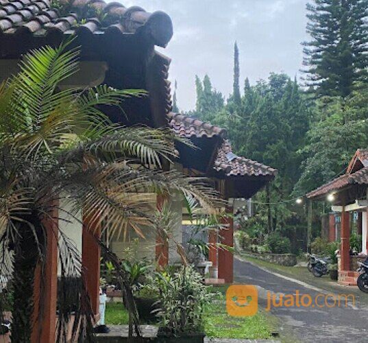Hotel dan Cottages Permata Biru area Trawas dekat Cimory (code : YLN)