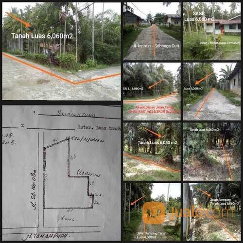 tanah di Duri Sebanga