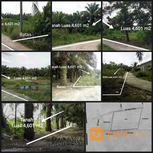 tanah di Duri Sebanga