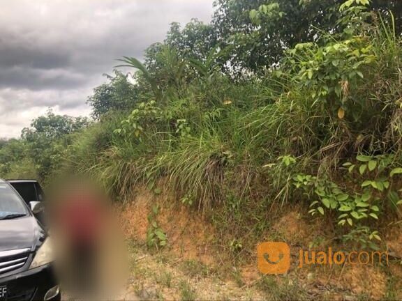 Tanah kering pinggir jalan di Kab Sintang Kalimantan Barat