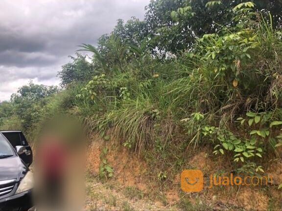 Tanah kering pinggir jalan di Kab Sintang Kalimantan Barat