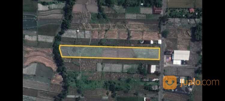 4 Menit Pasar Jambon Jogja: Tanah Mangku jl Aspal