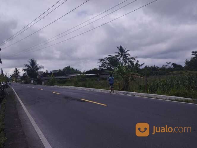 4 Menit Pasar Jambon Jogja: Tanah Mangku jl Aspal