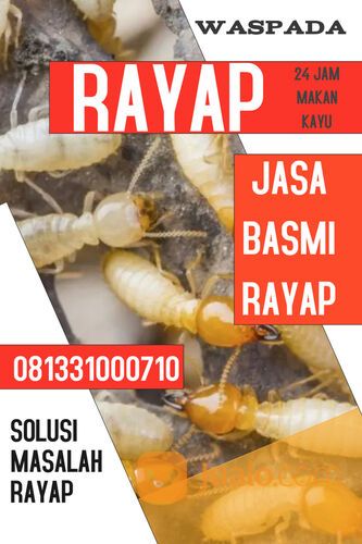 suntik rayap tamandayu pandaan